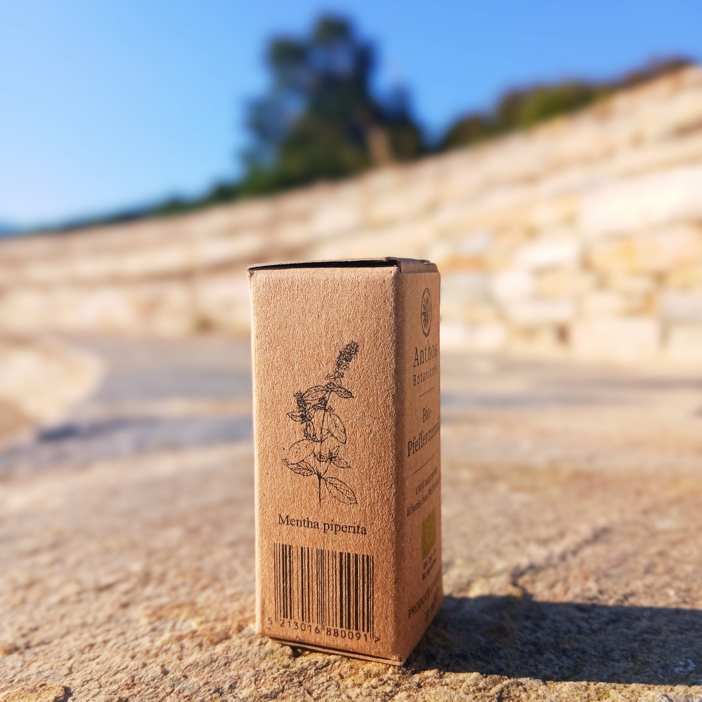 Pfefferminzöl BIO 12ml - Lebensmittelzertifiziert