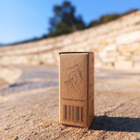 Eukalyptusöl BIO 12ml | Premiumöl