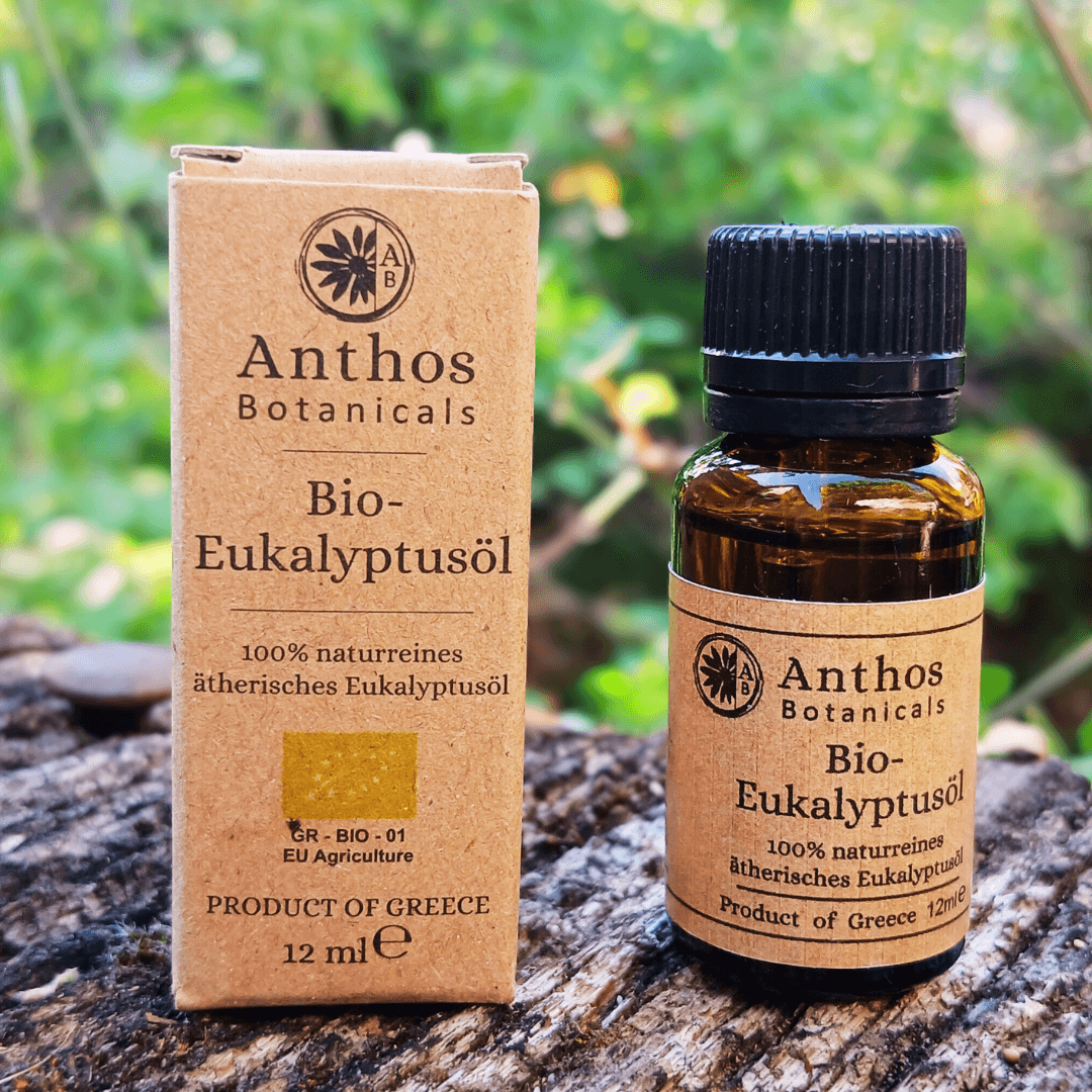 Eukalyptusöl BIO 12ml | Premiumöl
